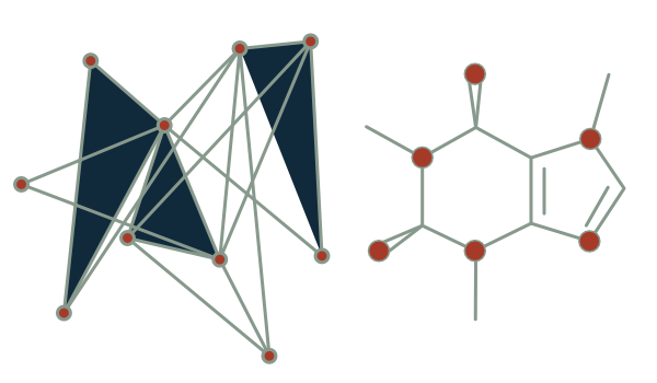 constellation project